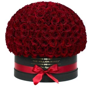 100 Red Roses(box)