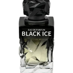 BLACK ICE POUR HOMME
